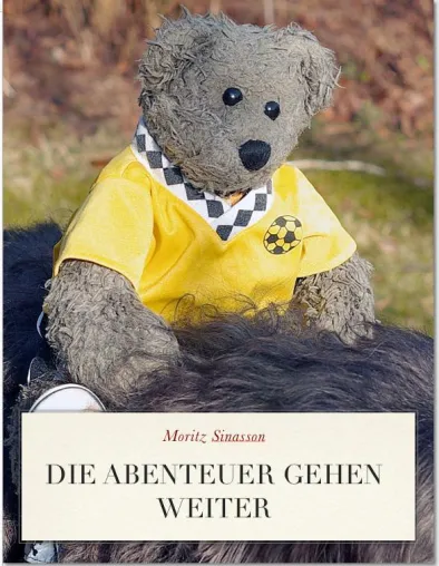 Moritz Sinasson: Teddybär schreibt zweites Kinderbuch Bild: Moritz Sinasson: Teddybär schreibt zweites Kinderbuch