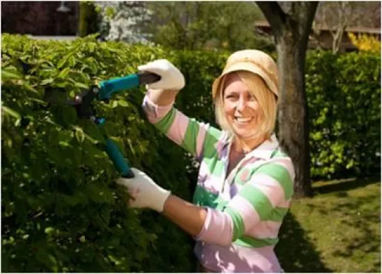 Deutsche Vermögensberatung (DVAG) rät Hobbygärtnern zu ausreichendem Unfallschutz Bild: Deutsche Vermögensberatung (DVAG) rät Hobbygärtnern zu ausreichendem Unfallschutz