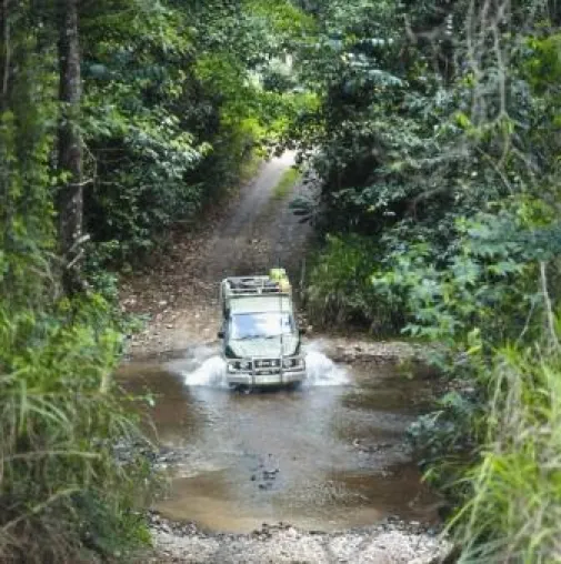 Abenteuer „Cooktown & Daintree Explorer” Bild: Abenteuer „Cooktown & Daintree Explorer”