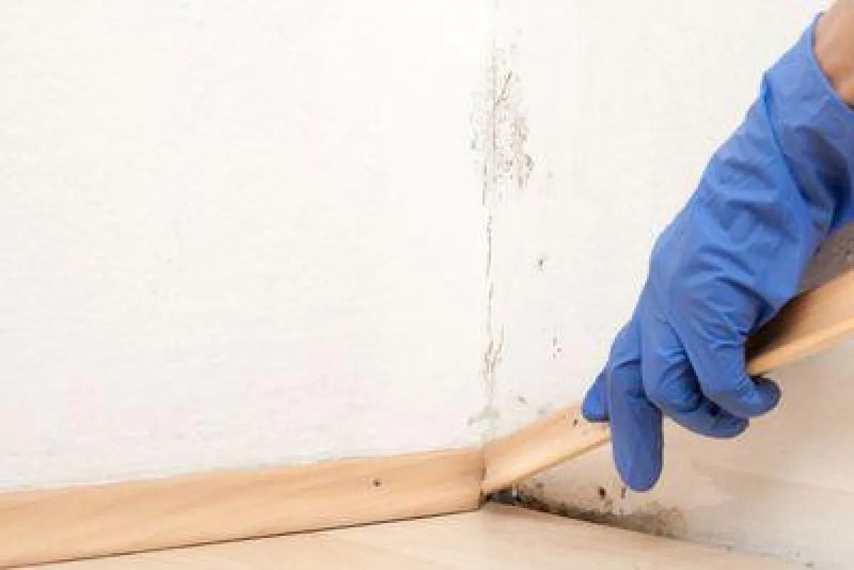 Schimmelpilze wachsen häufig im Verborgenen. Foto: fotolia/Zlatan Durakovic