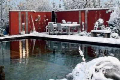 Bild: Ein Schwimmteich im winterlichenStuttgart?