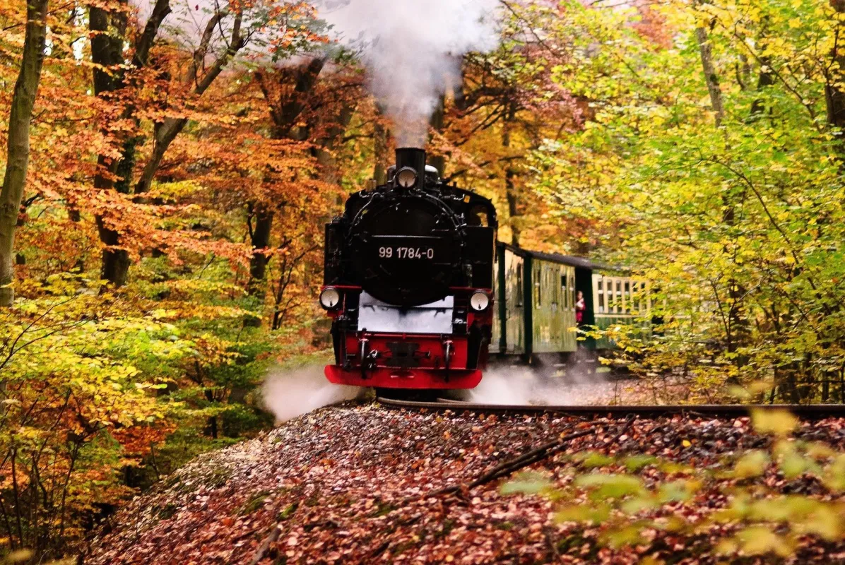 Rasender Roland im Herbstwald, Bild: A.Fischer auf pixabay