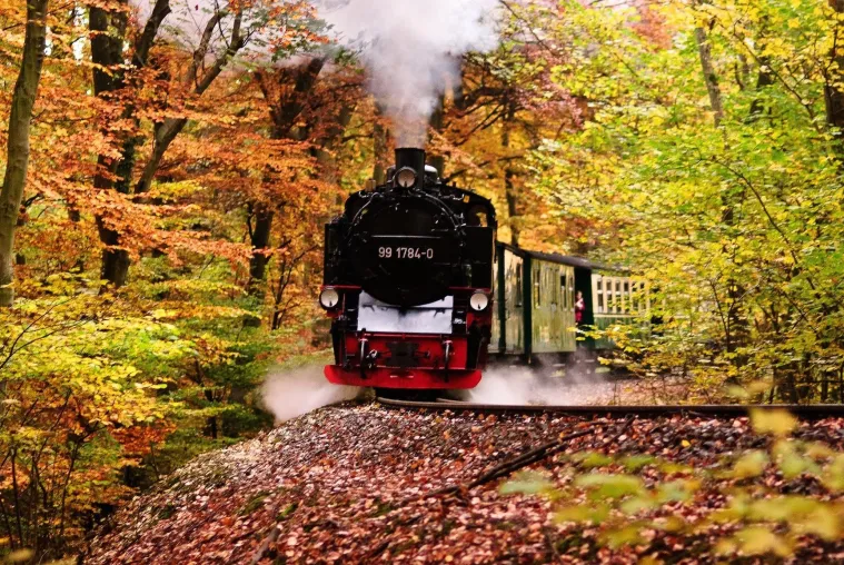Bild: WARUM IST DIE INSEL RÜGEN GERADE IM HERBST AM SCHÖNSTEN?