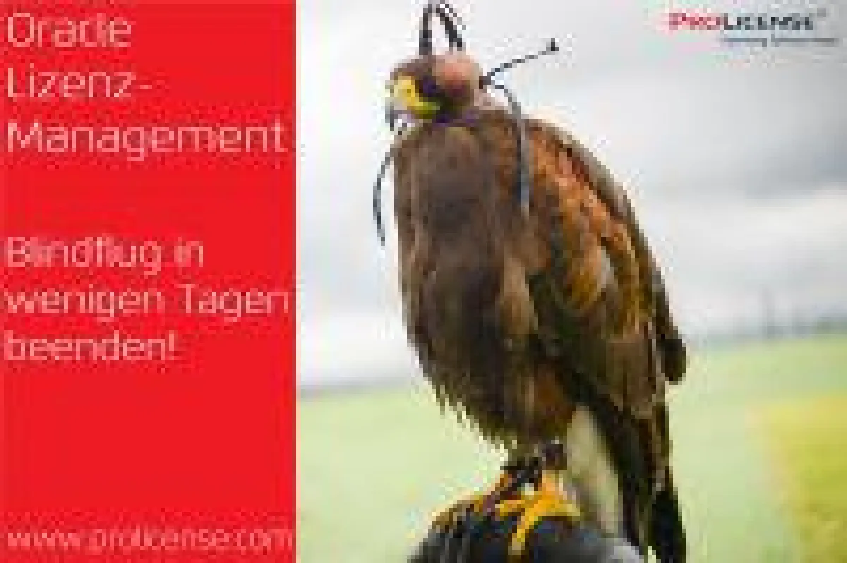 Oracle Lizenzmanagement - Blindflug in wenigen Tagen beenden