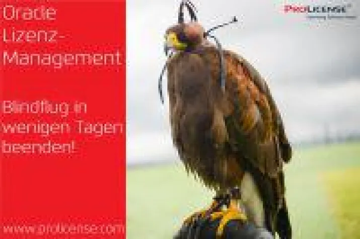Bild: Oracle Lizenzmanagement - Blindflug in wenigen Tagen beenden!