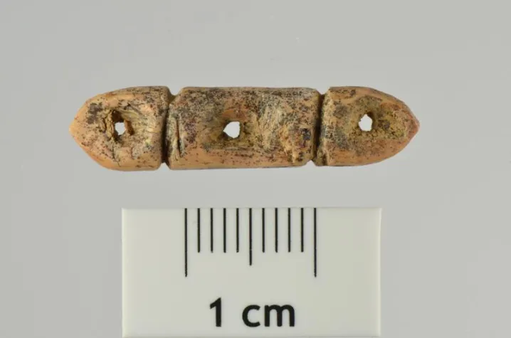 Bild: Perlenfunde aus Eiszeithöhlen drückten Gruppenidentität aus