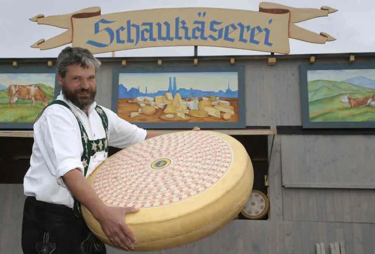 Wie aus rund 1000 Litern Milch dieser große Käse wird, zeigt die LVBM in einer Schaukäserei auf dem Oktoberfest. Bildquelle: LVBM