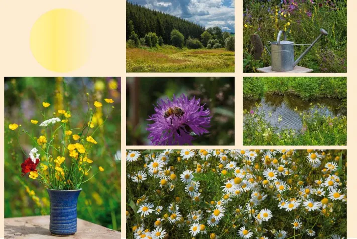 Bild: Es war einmal im Sommer