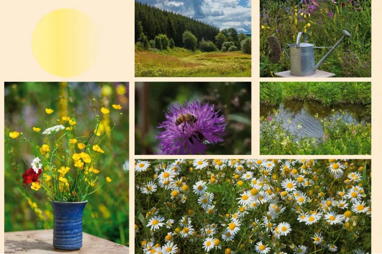 Bild: Es war einmal im Sommer