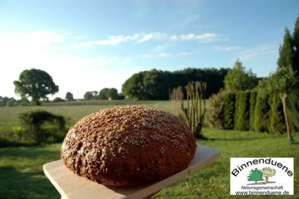 Dinkeldüne - das Brot der AG Binnendüne ab 18.06.2006 bei Beckmann`s Bäckerland Bild: Dinkeldüne - das Brot der AG Binnendüne ab 18.06.2006 bei Beckmann`s Bäckerland