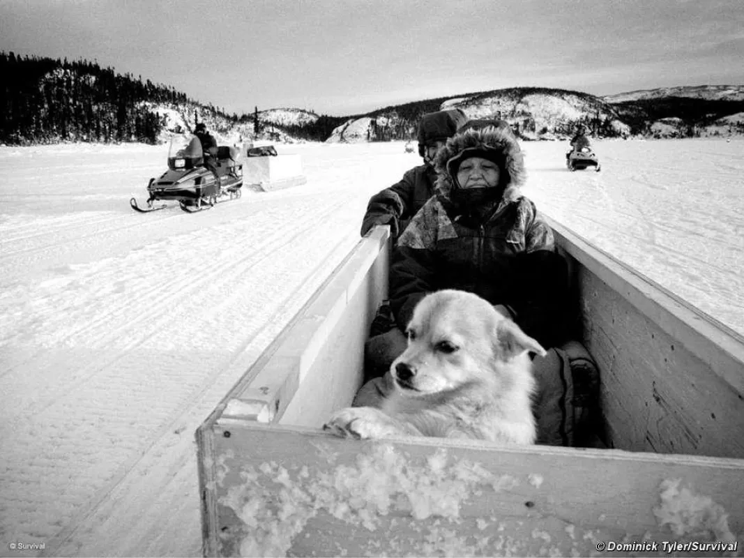 Die Innu im Nordosten Kanadas. © Dominick Tyler/Survival