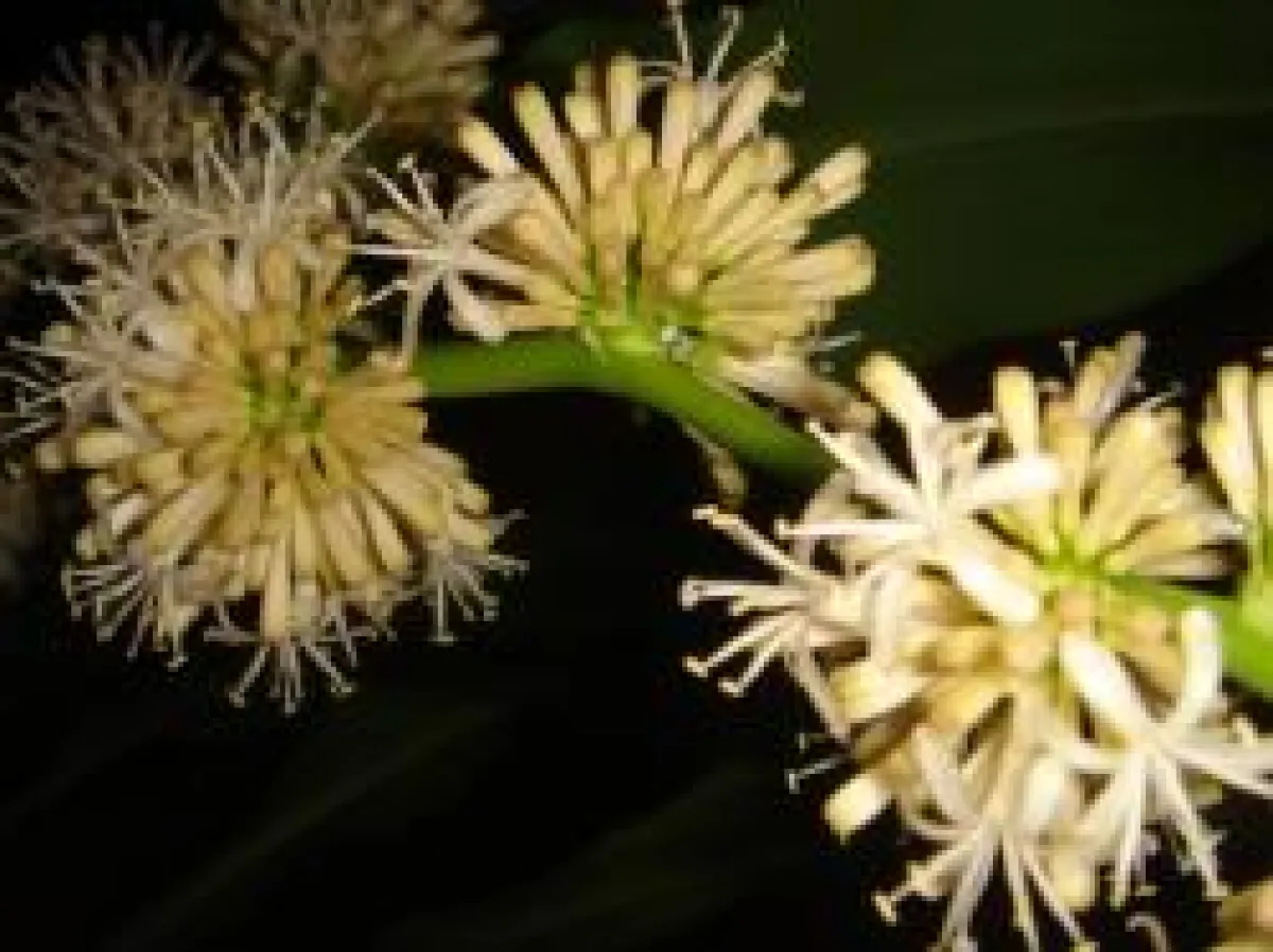 Praxis Design ist mehr als schöne Deko