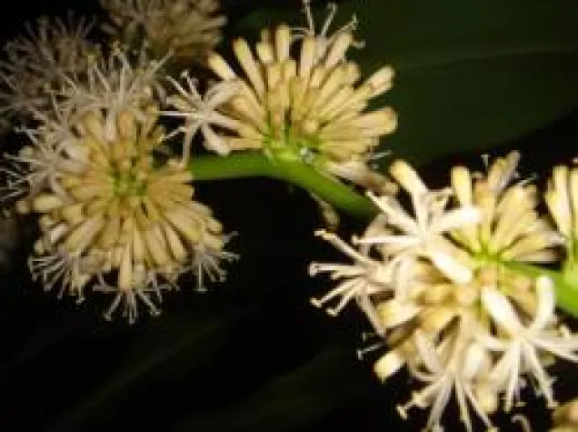 Bild: Praxis Design - Zahnärzte behandeln die Angst gleich mit