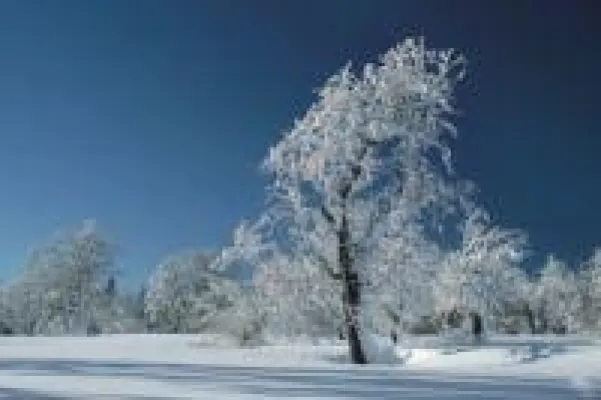 Bild: Jahreshauptversammlung 2009 des Tourismusvereines in Sonnen, Bayerischer Wald