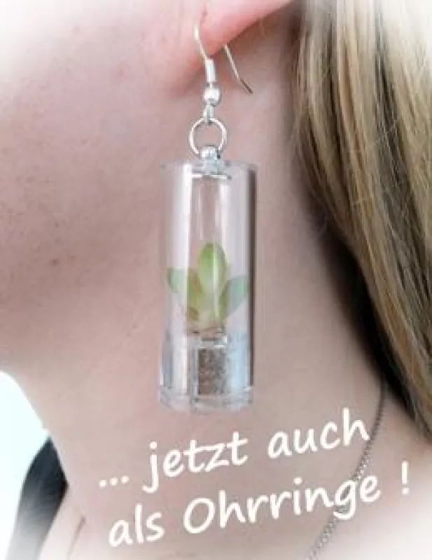 Lebende Ohrringe