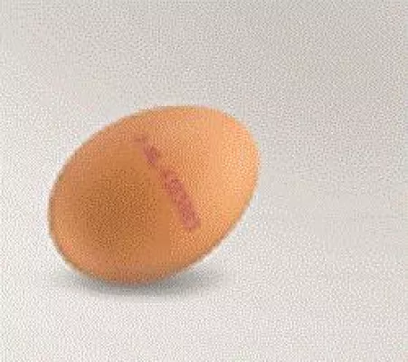 Bild: Ink Jet Drucksysteme RX-SD für die Eierkennzeichnung