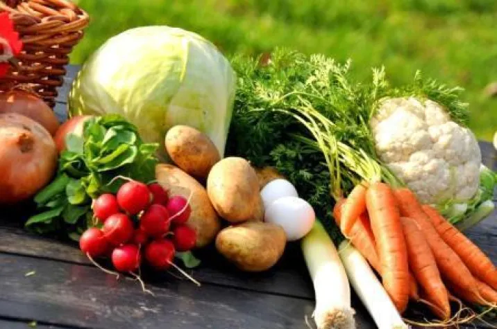 Bild: Regionale Produkte direkt vom Hof - 1. Priener Bauernherbstmarkt am Chiemsee 2013