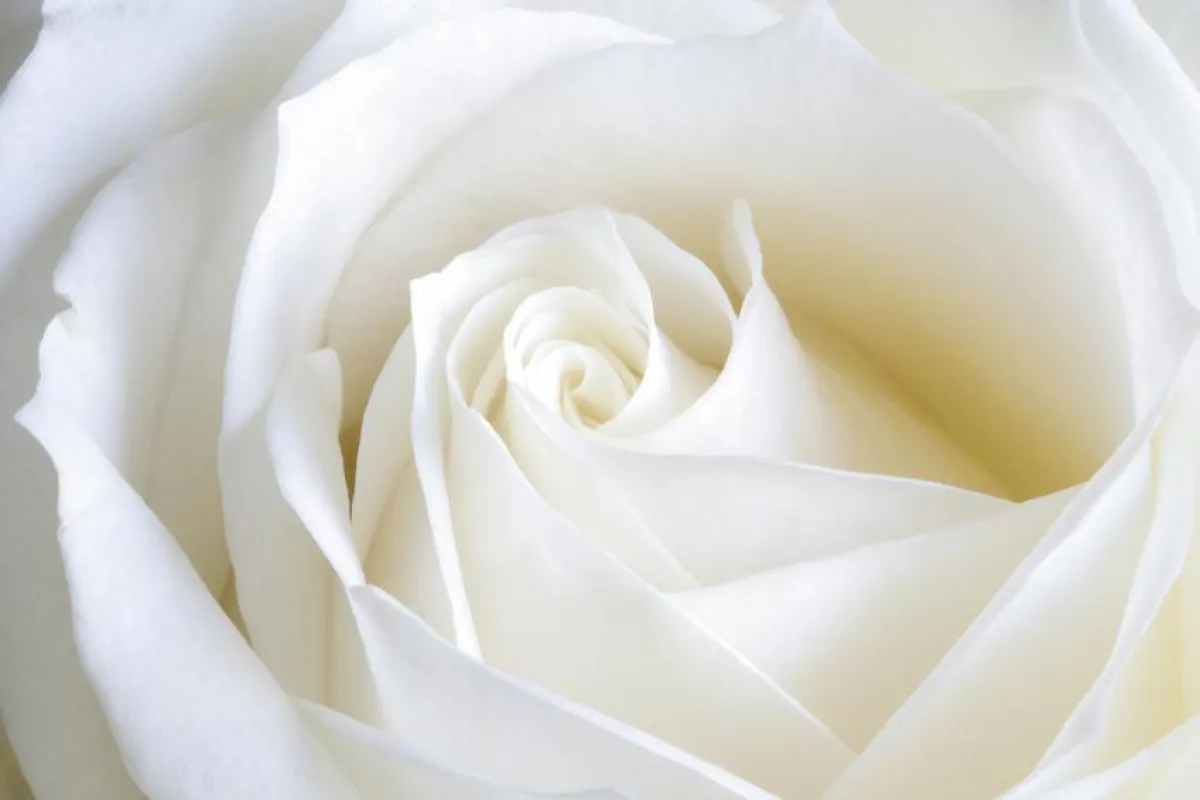 Foto: ©Geoffrey Whiting – Fotolia.com