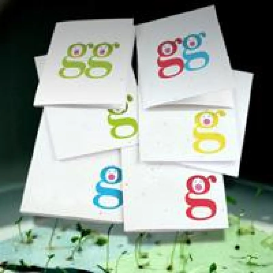 Saatkarten: Alles was bleibt, sind Blumen.