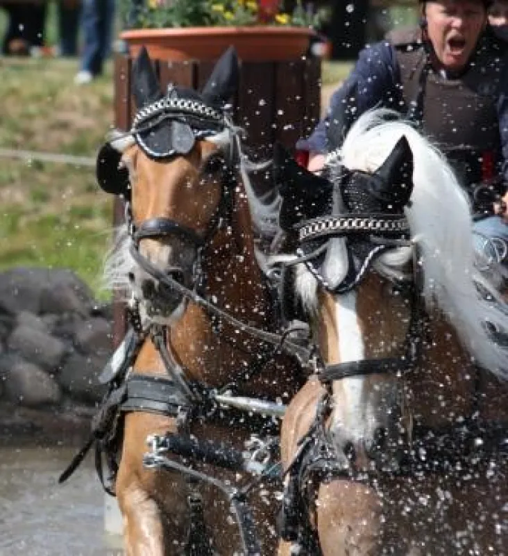 18.-20. Mai 2012: WM-Qualifikation in der Pferdesport-Arena Schildau