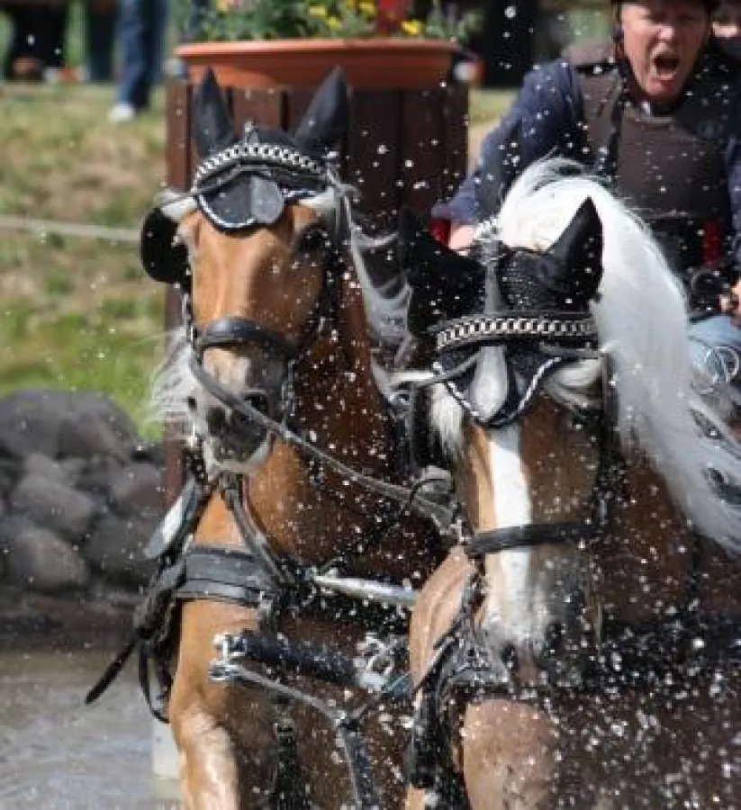 18.-20. Mai 2012: WM-Qualifikation in der Pferdesport-Arena Schildau
