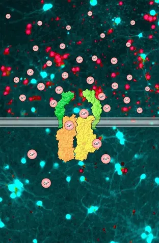 Bild: Aufräumen? Nicht ohne Helfer