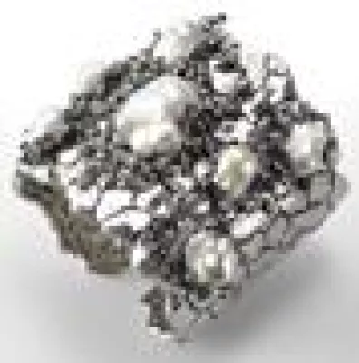 Bild: Die Natur in edlem Schmuck eingefangen