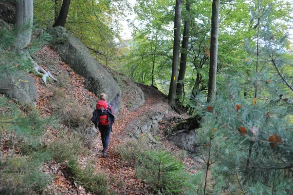 Bild: Abenteuer Natur: Das Elbsandsteingebirge bekommt seine erste Trekkingroute