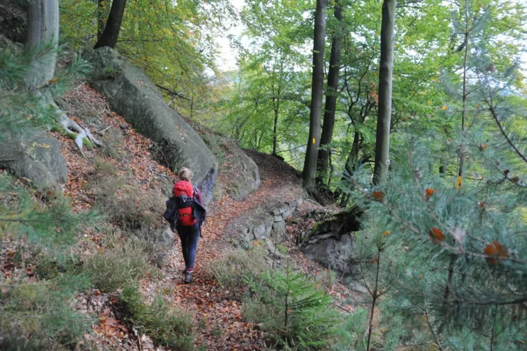 Bild: Abenteuer Natur: Das Elbsandsteingebirge bekommt seine erste Trekkingroute