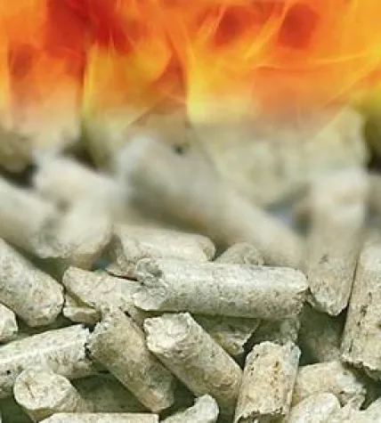 Bild: Holzpellets - Den Heizkosten ein Schnippchen schlagen