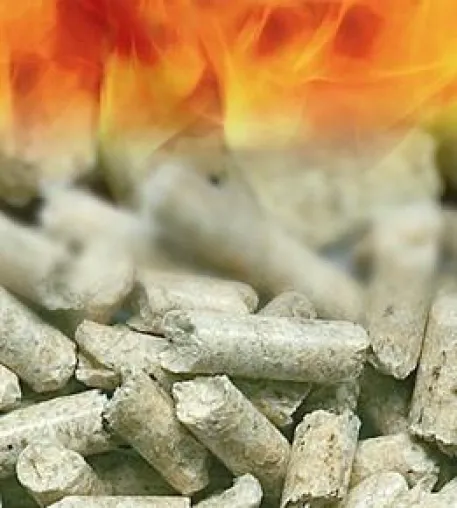 Bild: Holzpellets - Den Heizkosten ein Schnippchen schlagen