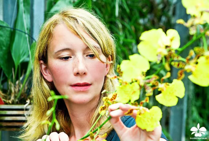 Bild: Orchideen BuGa 2015 - rätselhaft, verzaubernd, ein Wunder der Natur