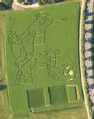 Bild: Hanflabyrinth Bayern öffnet bald seine Pforten