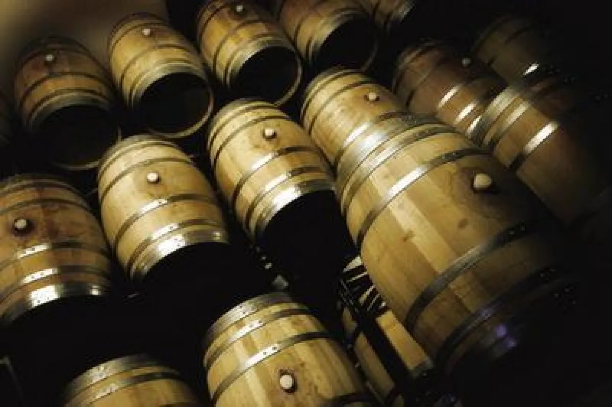 Wein Mallorca - Bodega Butxet