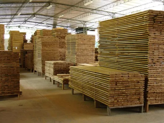 Bild: ShareWood Switzerland AG zahlt Holzerlöse aus