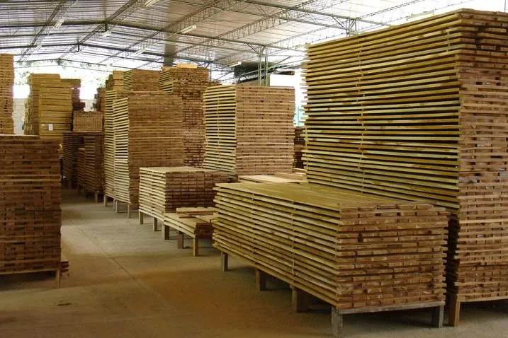ShareWood Switzerland AG zahlt Holzerlöse aus Bild: ShareWood Switzerland AG zahlt Holzerlöse aus