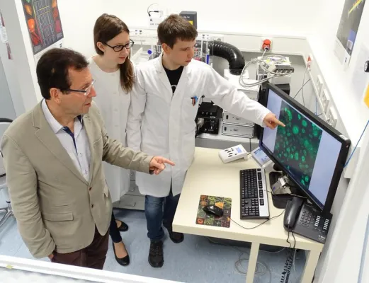 Auf dem Weg zu künstlichem Gewebe- und Organersatz aus dem 3D-Drucker Bild: Auf dem Weg zu künstlichem Gewebe- und Organersatz aus dem 3D-Drucker