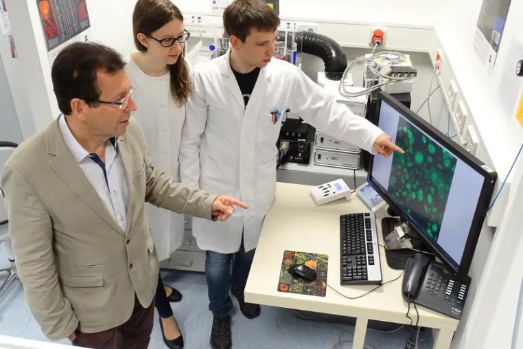 Bild: Auf dem Weg zu künstlichem Gewebe- und Organersatz aus dem 3D-Drucker