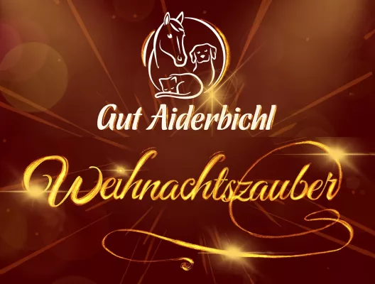 Bild: Ballermann Ranch: TV-Aufzeichnung für tierische Weihnachtsshow