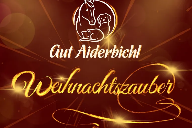 Bild: Ballermann Ranch: TV-Aufzeichnung für tierische Weihnachtsshow