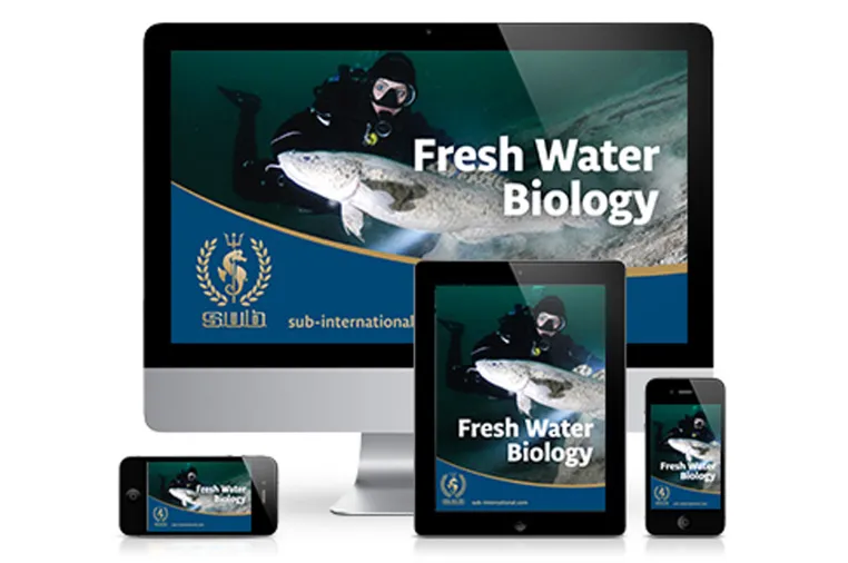 Kostenloser Onlinekurs Süßwasserbiologie Bild: Kostenloser Onlinekurs Süßwasserbiologie