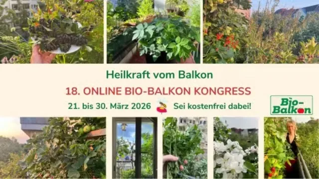Bild: Heilkraft vom Balkon