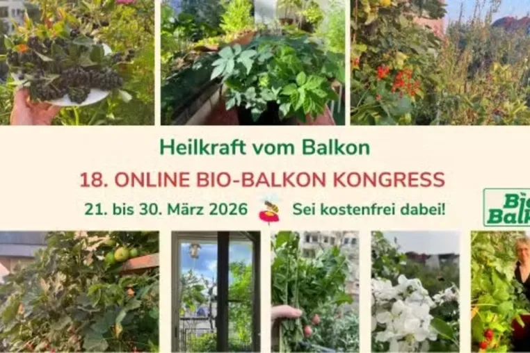 Bild: Heilkraft vom Balkon