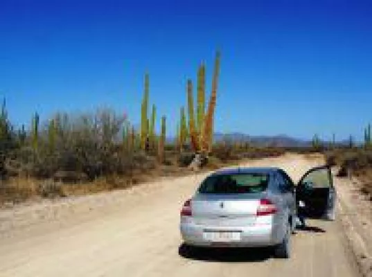 Bild: Mit Auto statt Jeep durch Mexikos Baja California - neue Mietwagenreise von Santana Travel