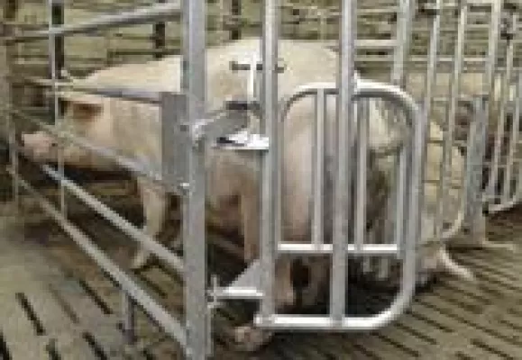 Bild: Selbstfangbuchten ohne mechanische Federung