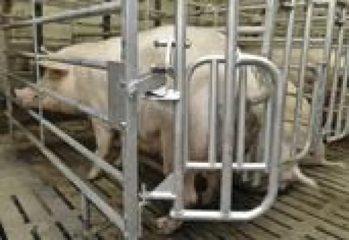 Bild: Selbstfangbuchten ohne mechanische Federung