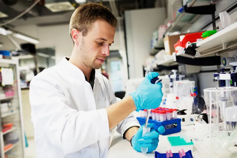 Putting Viruses in Quarantine: Critical milestone reached in radical new antiviral treatment approach Bild: Putting Viruses in Quarantine: Critical milestone reached in radical new antiviral treatment approach
