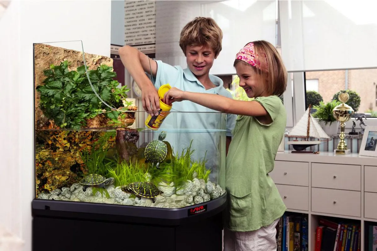 Schildkröten als Haustiere? Mit der Komplettausstattung von sera kein Problem. Foto: sera