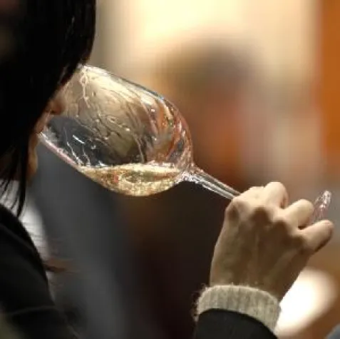 ProWein Guide - Die wichtigsten Fragen zum Thema Wein Bild: ProWein Guide - Die wichtigsten Fragen zum Thema Wein