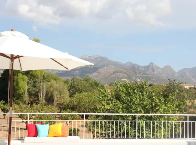 Bild: Ellen Kamrad organisierte exklusives Firmenjubiläum auf der Sonneninsel Mallorca